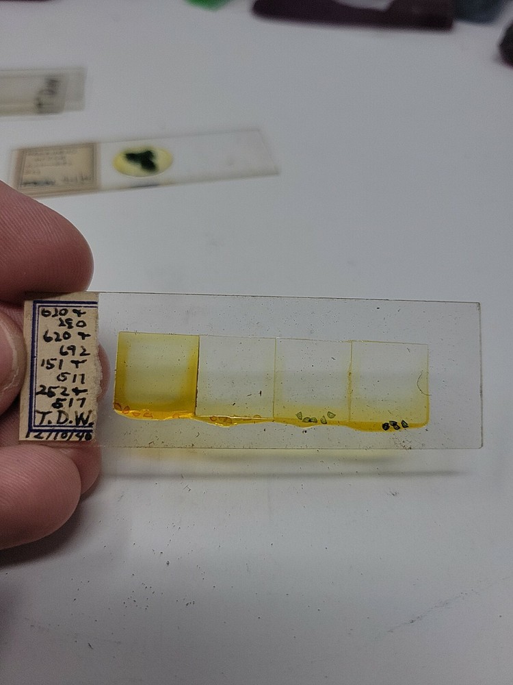 Vintage Microscope Slide 1940