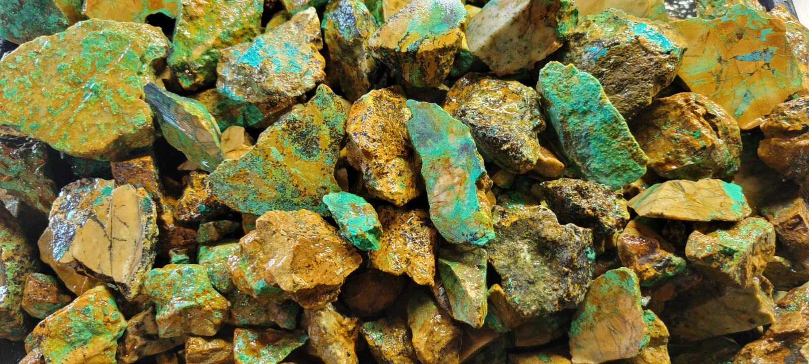 Natural Turquoise Rough Blue Silver Mine, Lone Mountain District NV - Half Pound