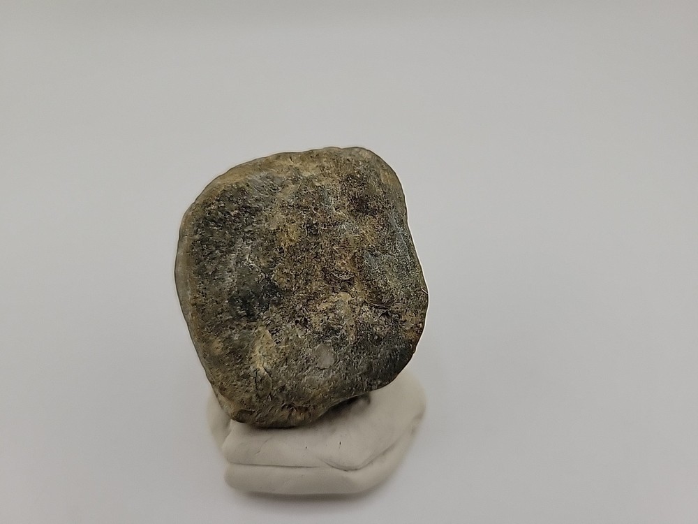 Real Permineralized Dinosaur Half Egg Embro Uv Reactive