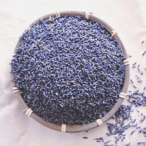 Lavender Flower French Lavender Buds ~ Top Grade ~ Fresh Flowers Bulk USA