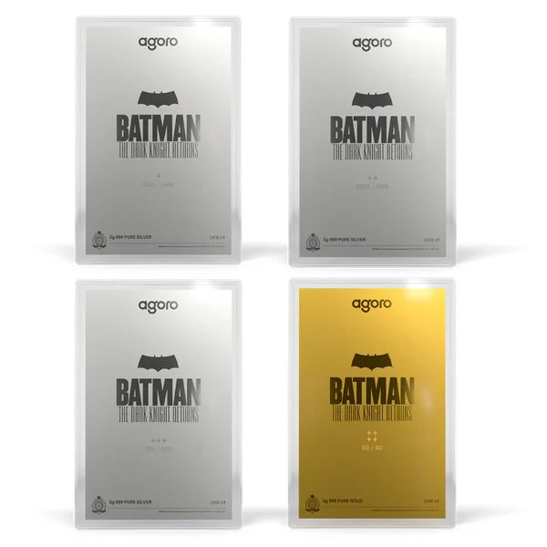 Batman: The Dark Knight Returns™ Blind Box (Single)