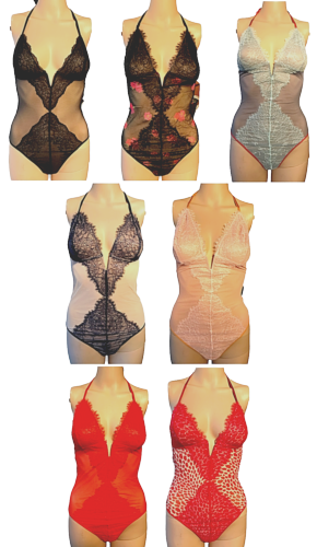 $60 VICTORIAS SECRET LACE V-WIRE PLUNGE TEDDY SLIP THONG LINGERIE XS S M XL NWT