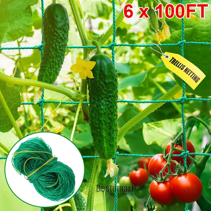 6-100FT Plant Trellis Netting for Climbing Plants Outdoor Garden Plant Grow Net