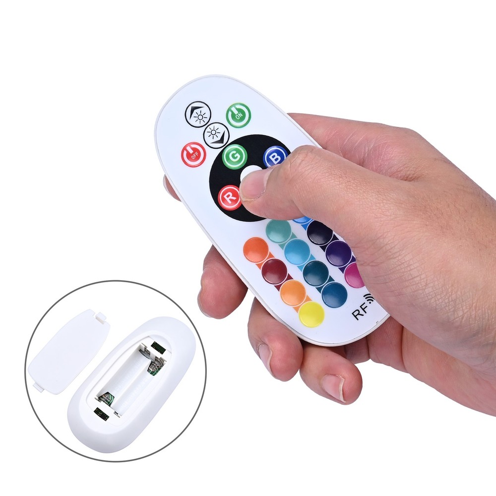 DELight LED Controller w/ RF Remote for DELight Neon Rope Light 1Pack/2Pack Opt