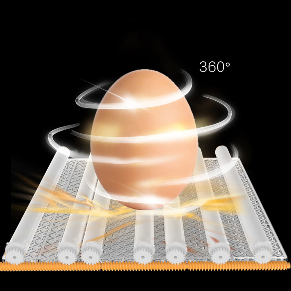 64-Egg Digital Incubator with Temperature Control & Automatic Turner