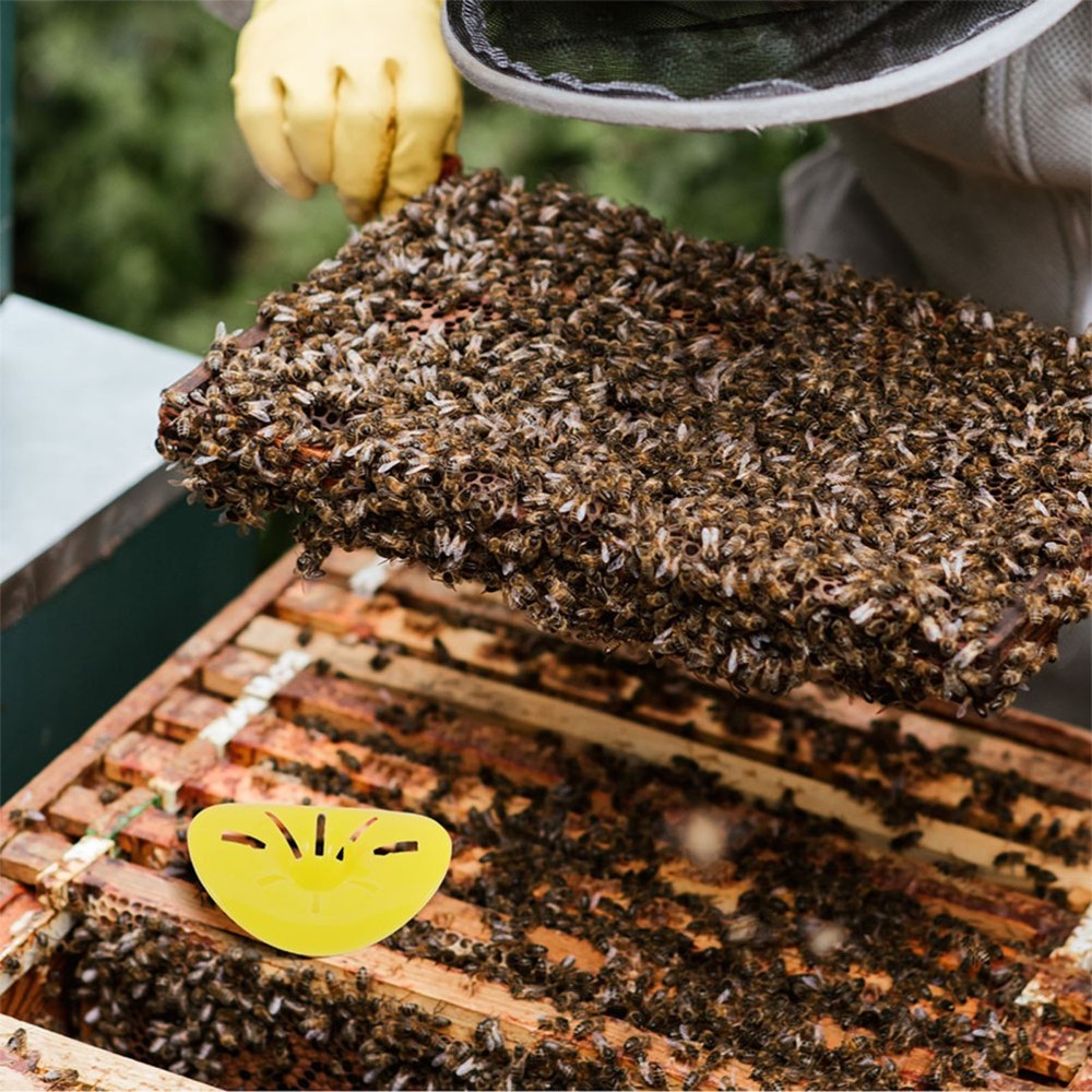 15 Pcs Beehive Entrance Exit Cone Tool Extractor Escape Porter Valve