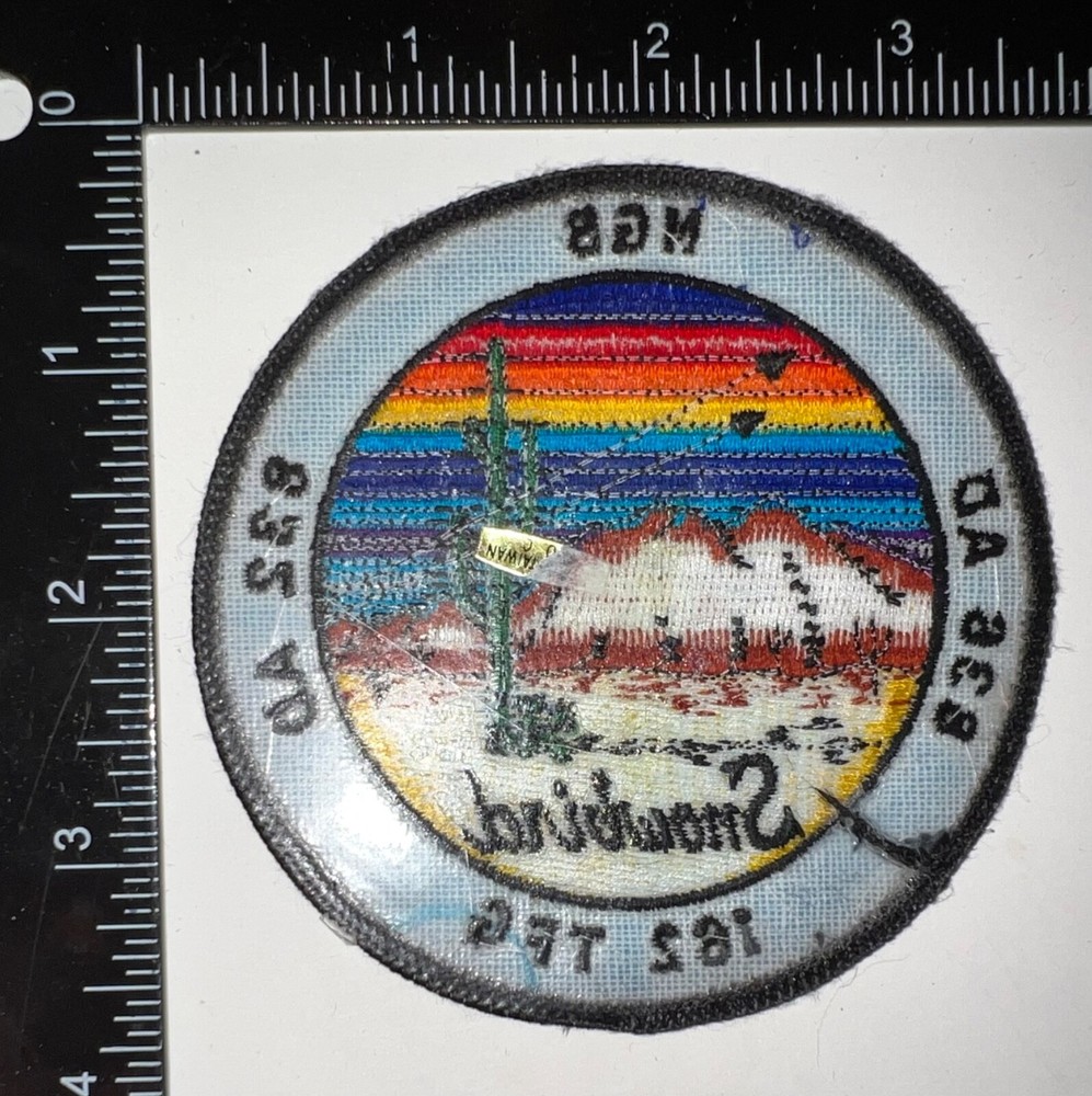 USAF US Air Force 162nd Tactical Fighter Group NGB Snowbird Patch