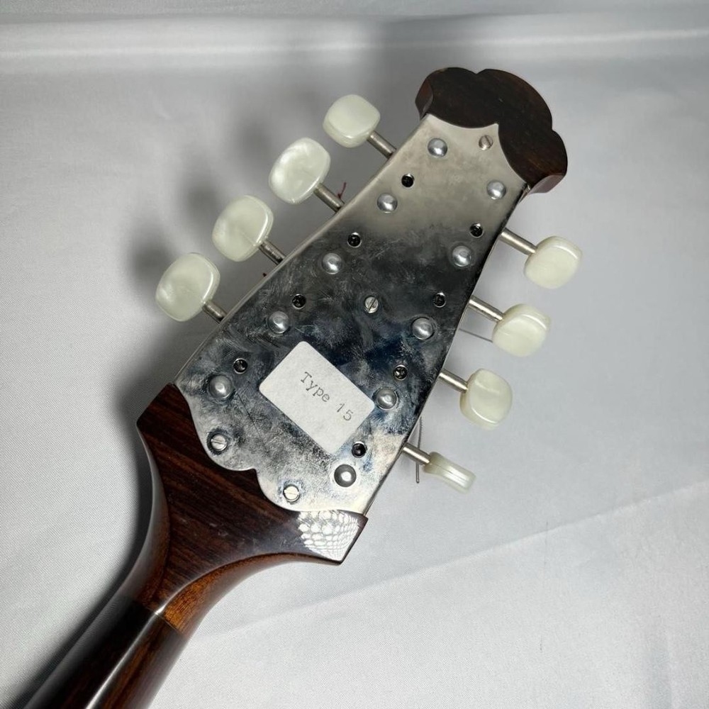 Mandolin Raffaele Calace Type15 raffaele calace