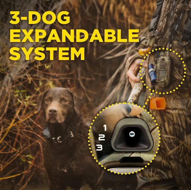 Dogtra 1900X Camouflage Dog Trainer Remote E-Collar 3/4 mi, Tone & XPP Vibration