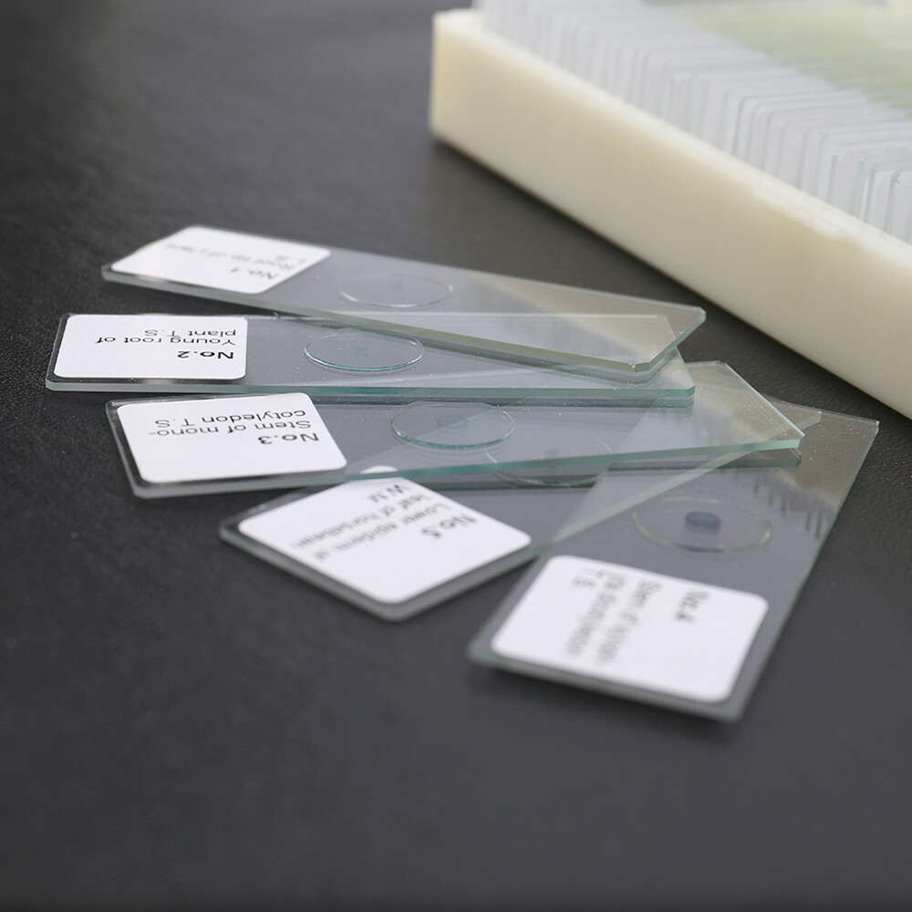 50PCS/Set Biological Glass Sample Prepared Basic Animal Plants Insects V2R3