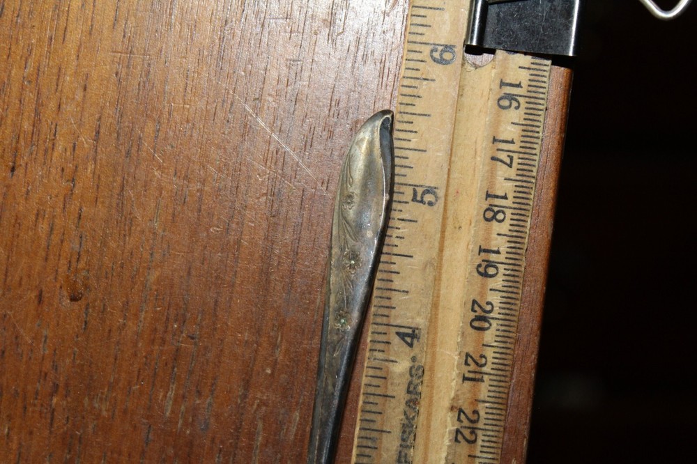 Vintage Tea Spoon Rogers Silver Plate Springtime Pattern