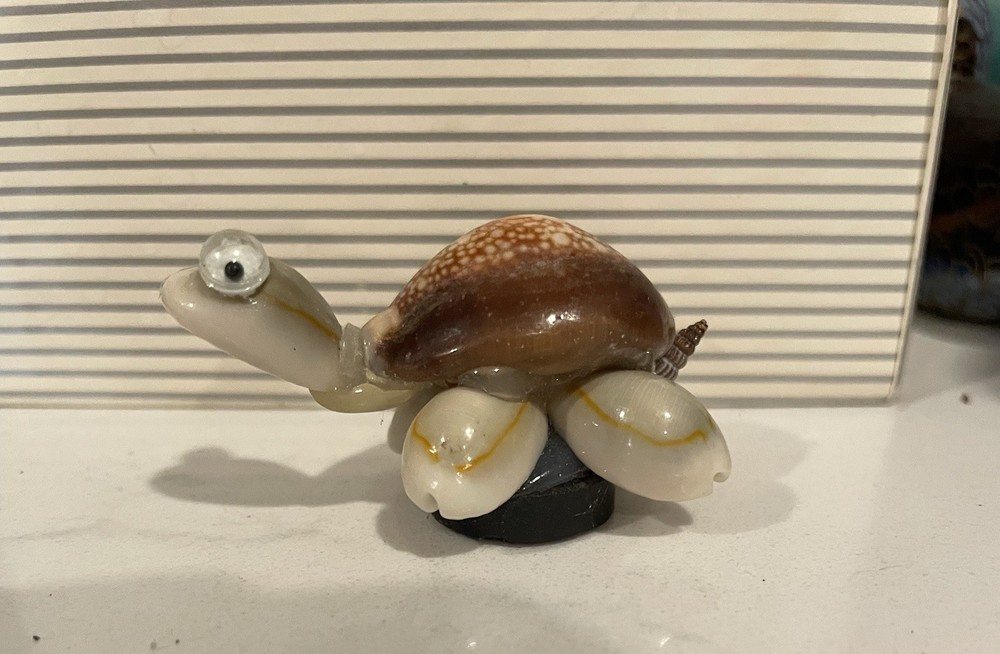 Vintage Tiny Shell Turtle Magnet Souvenir Beach House Cottage Decor