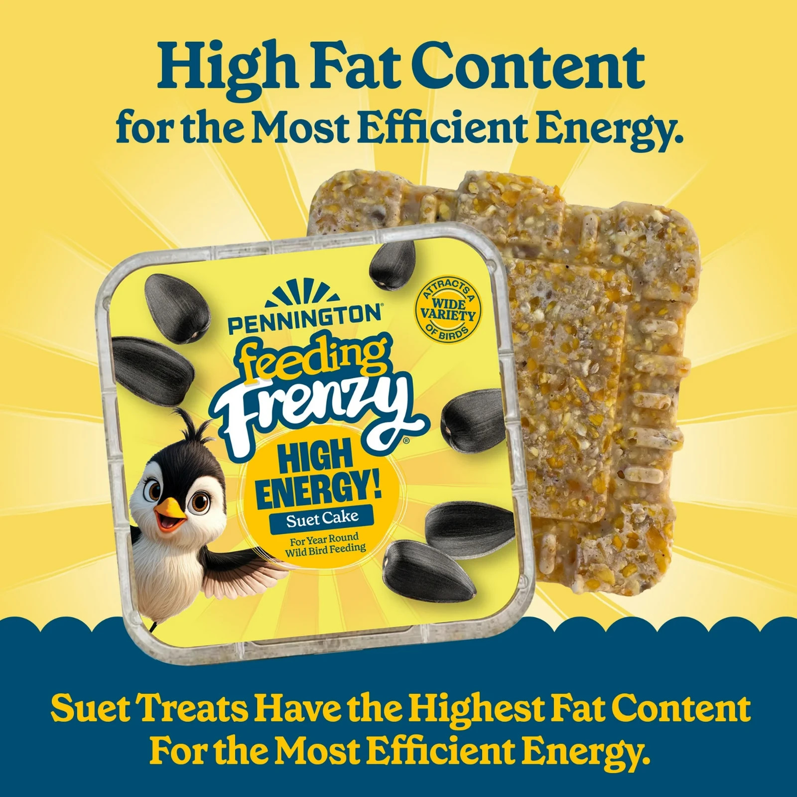 High Energy Suet Cake for Wild Birds Year-Round Feeding 8 Pack of 11.75 oz Cakes