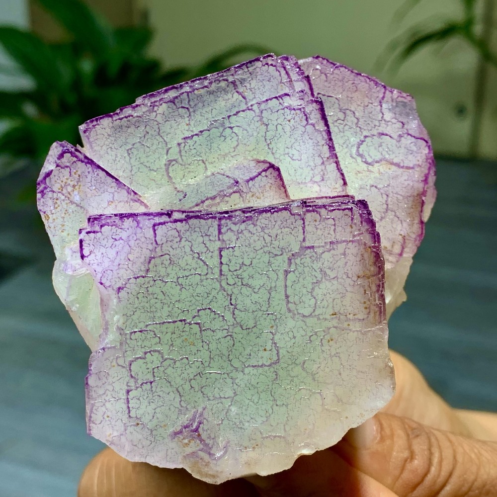 3 Code"Fluorite Cluster Crystal Mineral Specimen/Guizhou