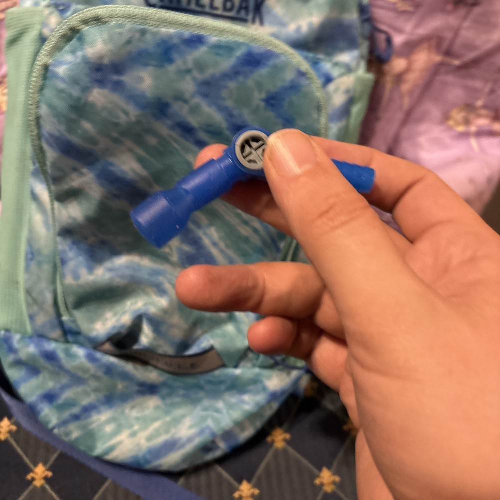 Camelback Mini Mule Pack Hiking Backpack Blue and Green Backpack