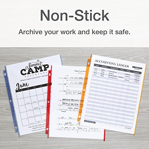 Sheet Protectors, Color Coded, Top Loading Sleeves, Page Protectors, 200/BX,