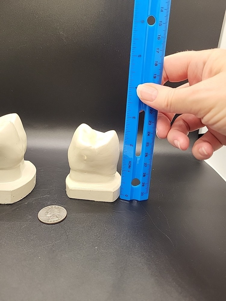 Two Weird Tooth Models 1970's