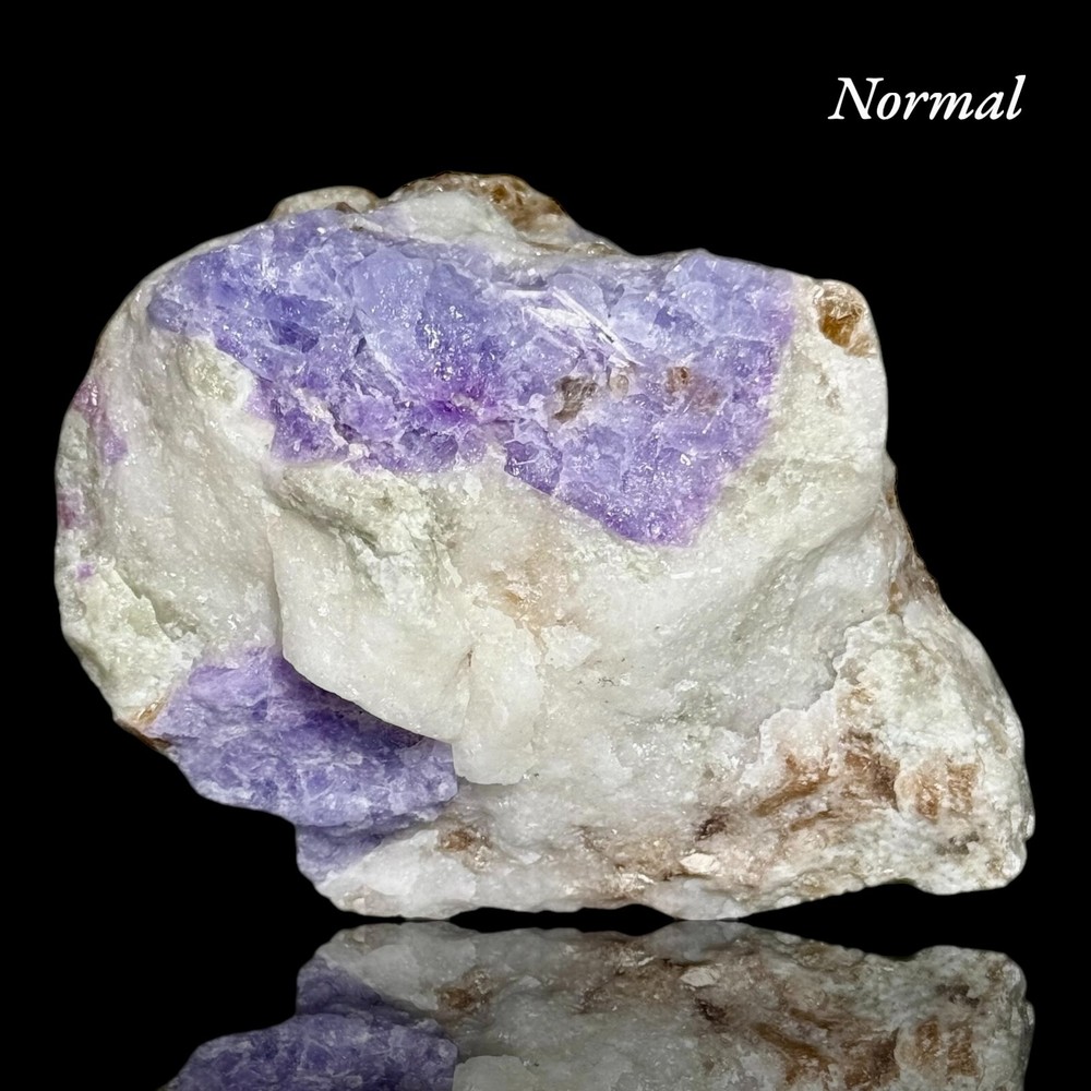 764 Gr. Fluorescent Sharp Tenebrescent Hackmanite With Forsterite and Mica @Af