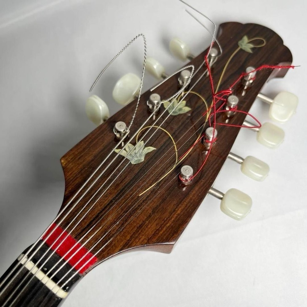 Mandolin Raffaele Calace Type15 raffaele calace