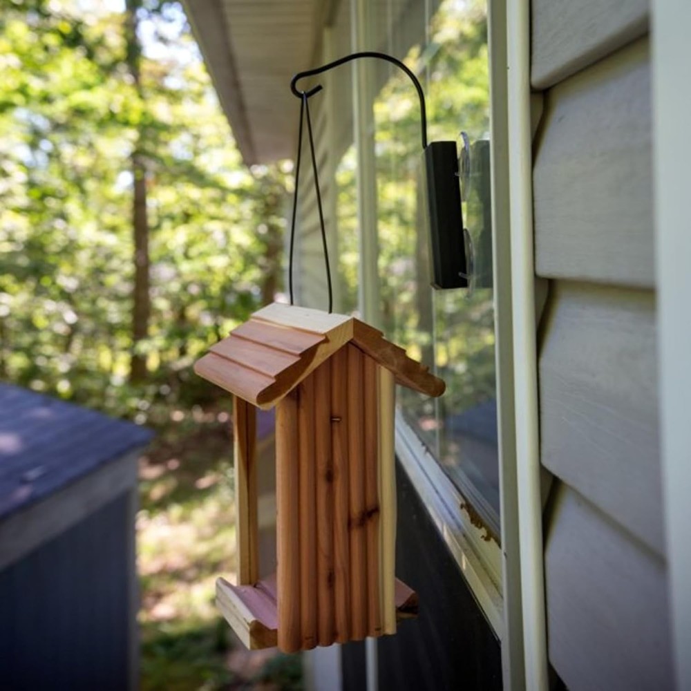 Classic Window Hook Used Bird Feeder Suction Cup Hook