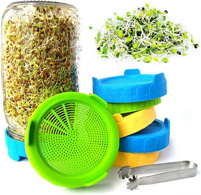 Sprouting Jar Lids | Make Microgreen Sprouts at Home - 2 Pack
