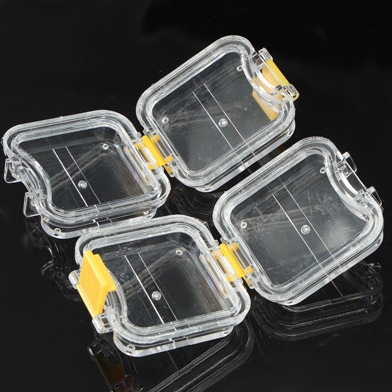 10Pcs Denture False Teeth Membrane Case Container Hinged Display Box Jewelry