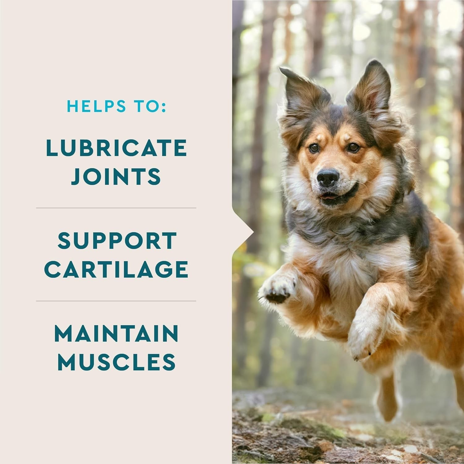 VETIQ Glucosamine MSM Hip & Joint Soft Dog Chews Chicken Flavored (180 ct.)