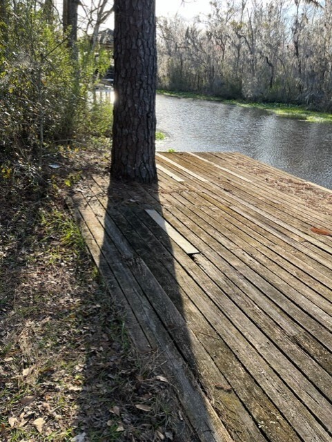 Lynyrd Skynyrd Signed Hell House Historical Rock Relics Card Gene Odom 50+ Wood!