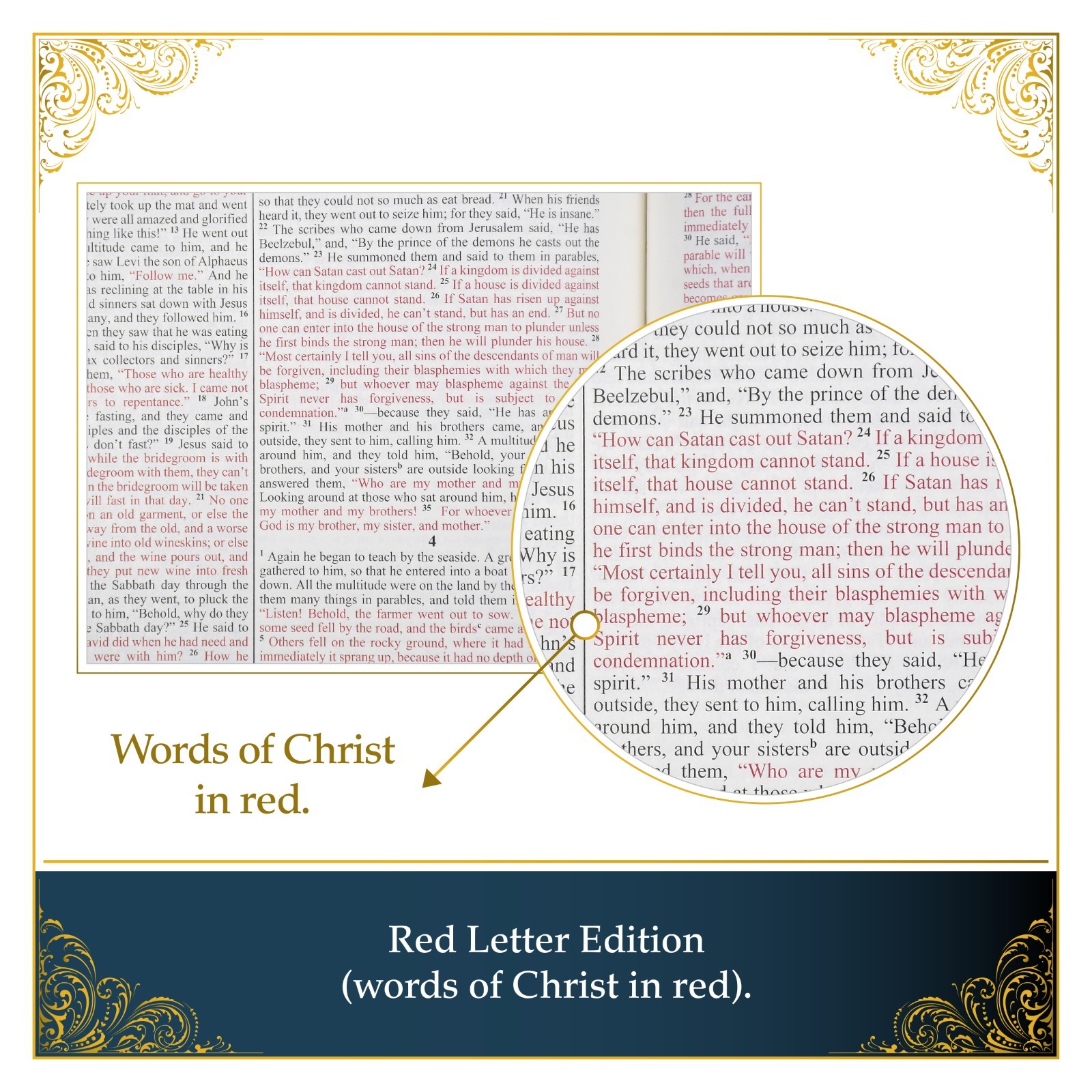 The Most Complete Ethiopian Bible by Asher Wilson, Deluxe Red Letter Edition