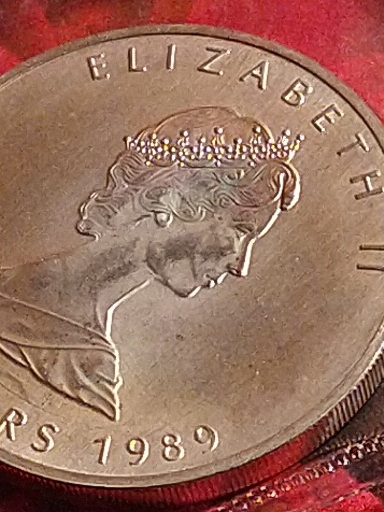 1989 $5 **SILVER** CANADA MAPLE LEAF QUEEN ELIZABETH IN ORIGINAL PLASTIC CASING