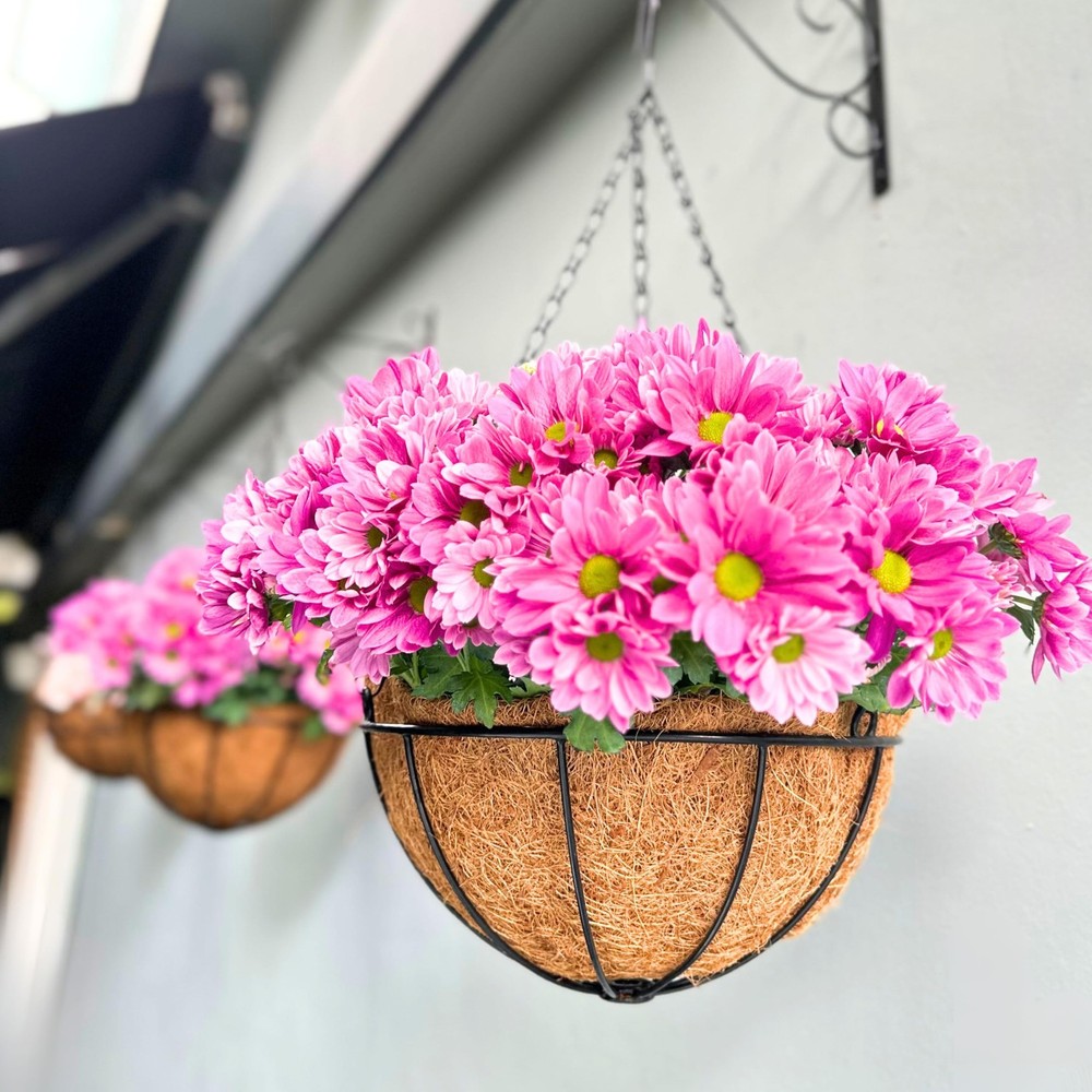 LaLaGreen 14" (4 Pack, Round) Coco Liners for Hanging Basket – Medium Coconut...