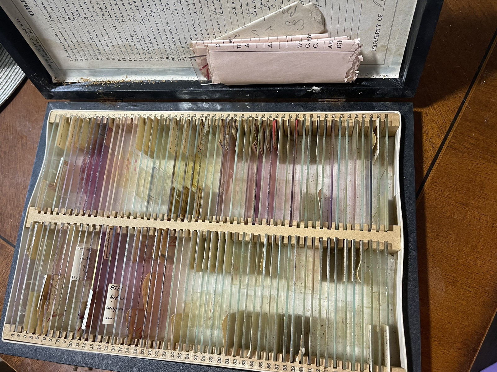 BOX OF 100 ANTIQUE MICROSCOPE SLIDES – ZOOLOGY 1920s Scientific