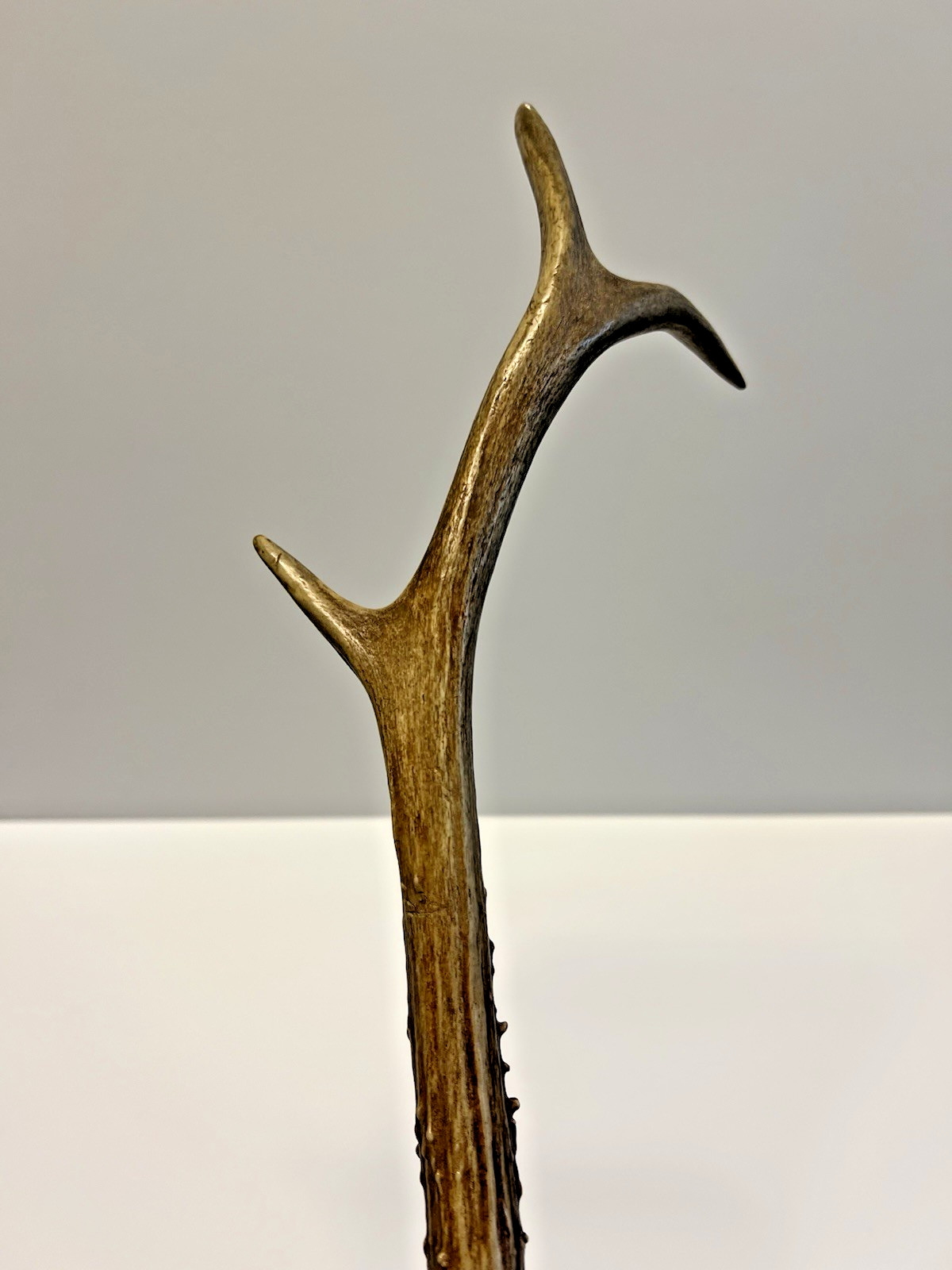 Antique Original Native American Indian Ceremonial Deer Antler Brush;