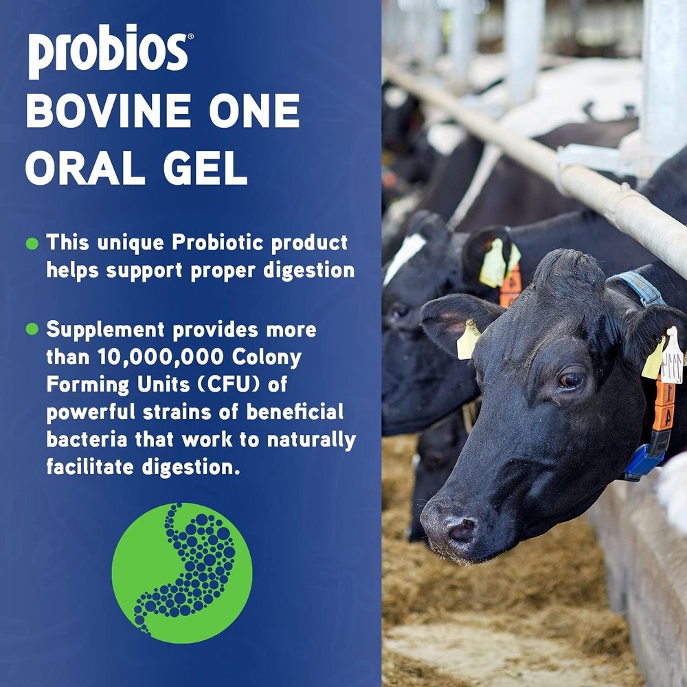 Probios Bovine 300 gm, 6 ct