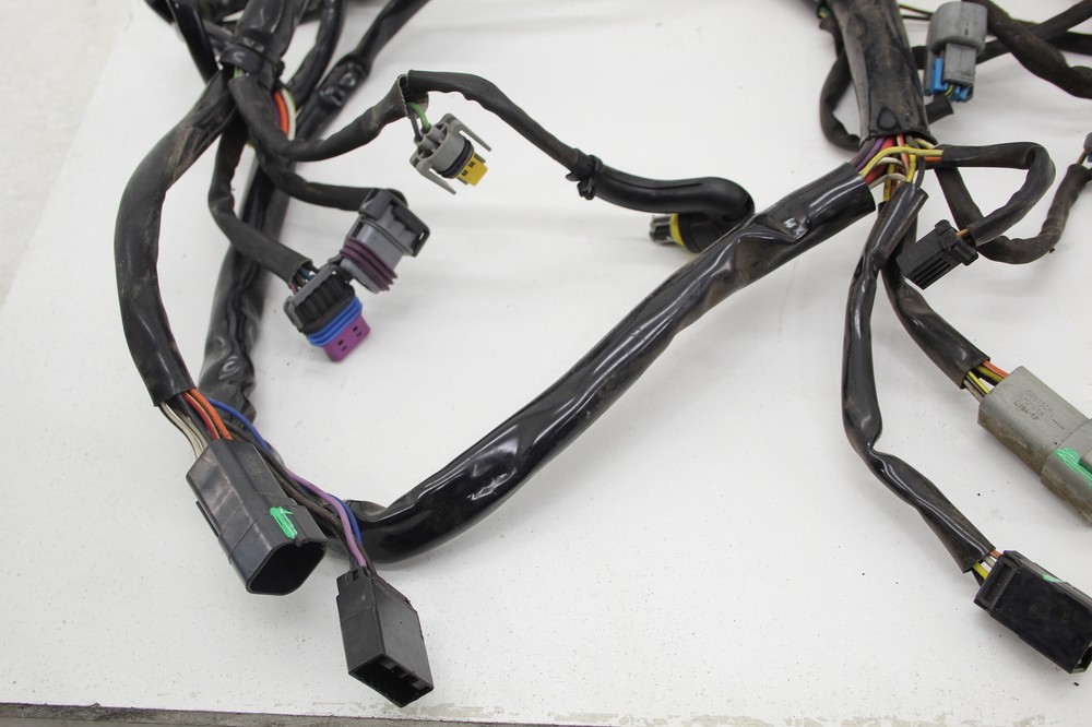 2006 Harley Davidson Heritage Flstc Main Engine Wiring Harness