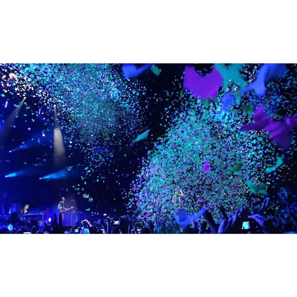 Chauvet DJ LED Shadow 2 ILS Blacklight Panel Wash 2-Pack with Bag