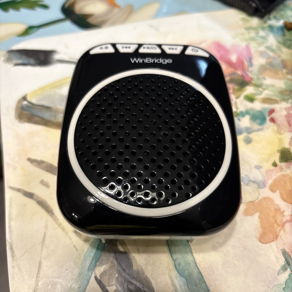 WinBridge WB001 Portable Voice Amplifier