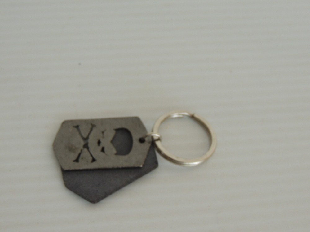 Skull Collectors Key Chain