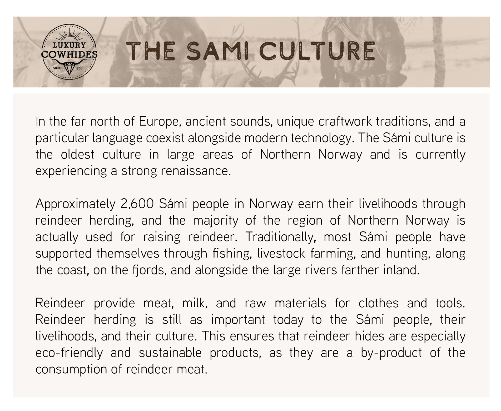 Real Greyish Scandinavian Reindeer Hide Rug - Size 3-4' x 4-5.5'