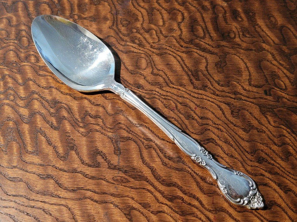 AFFECTION ~ Community ~ Serving Spoon ~ Silver Plate