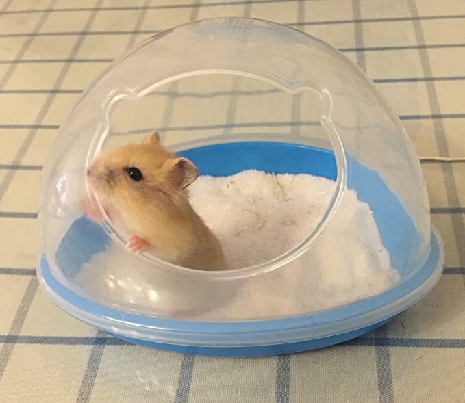 SatisPet Hamster Sand Bathroom Large in Blue- Plastic Sand Bath Container