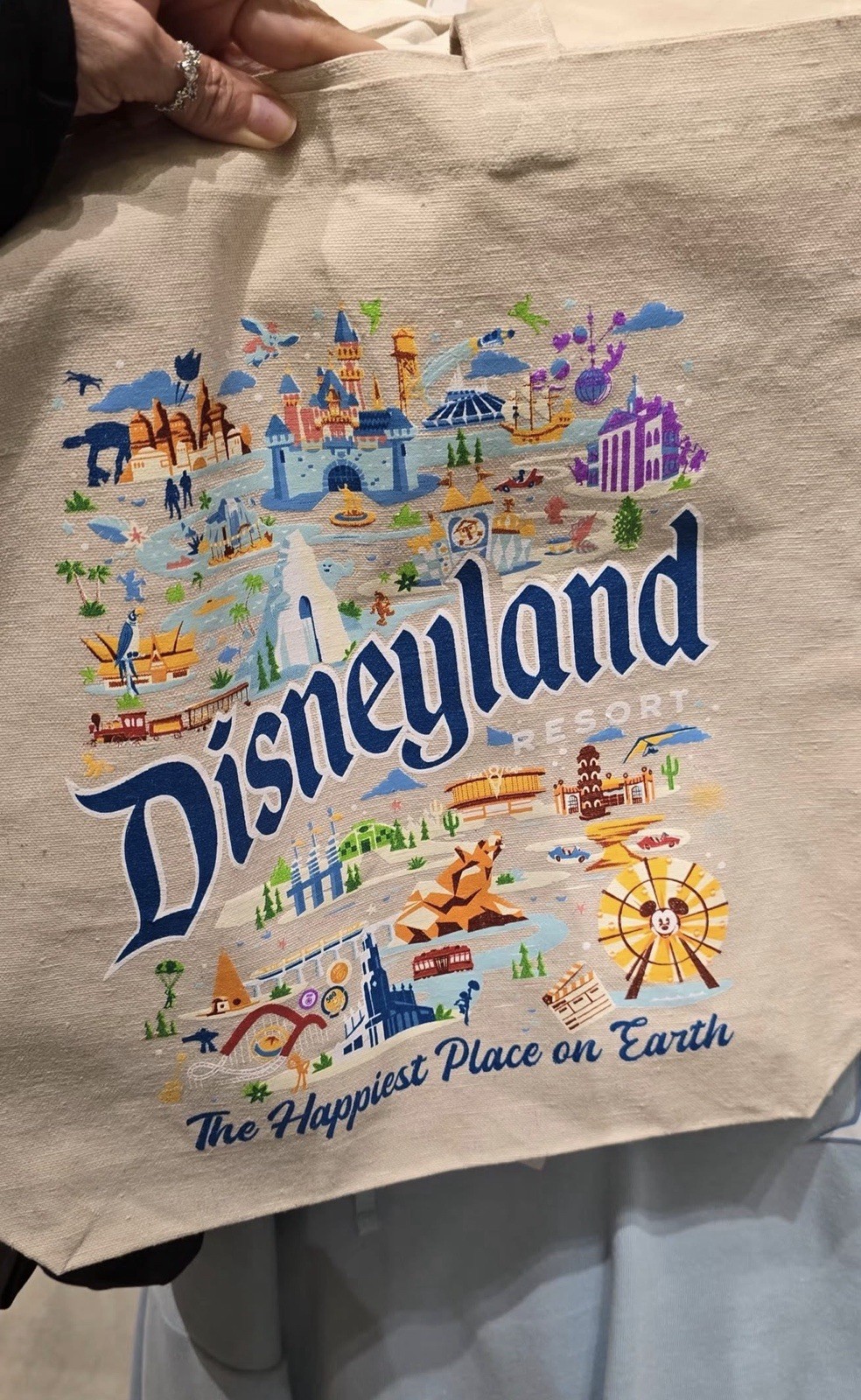 New 2026 Disneyland Resort Tote Bag