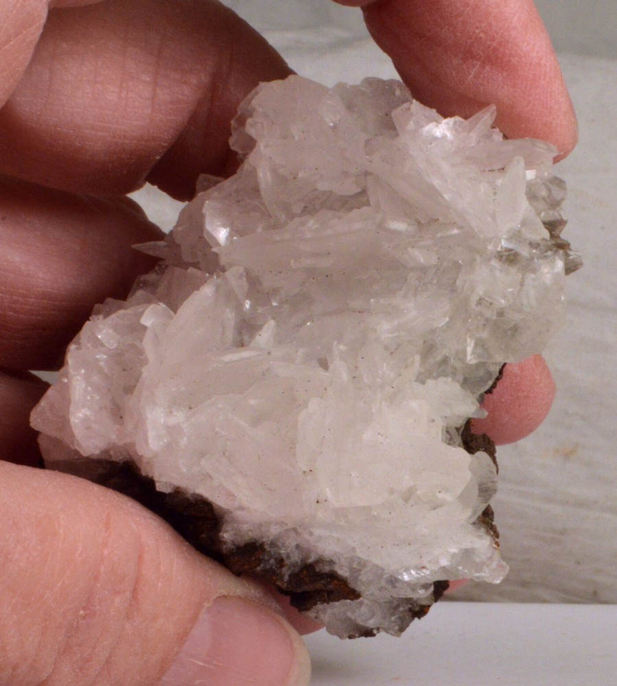 #5646 Calcite - Mapimi, Durango Mexico