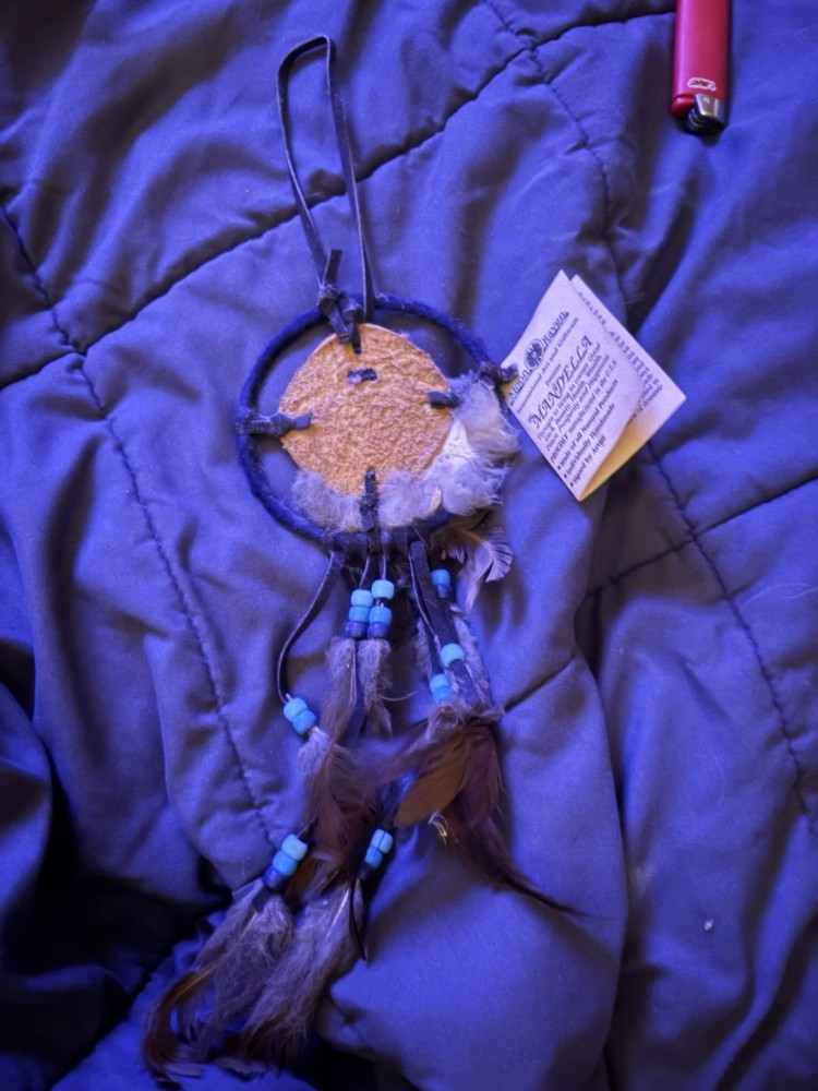 Moon Raven Mandala/ Dream catcher