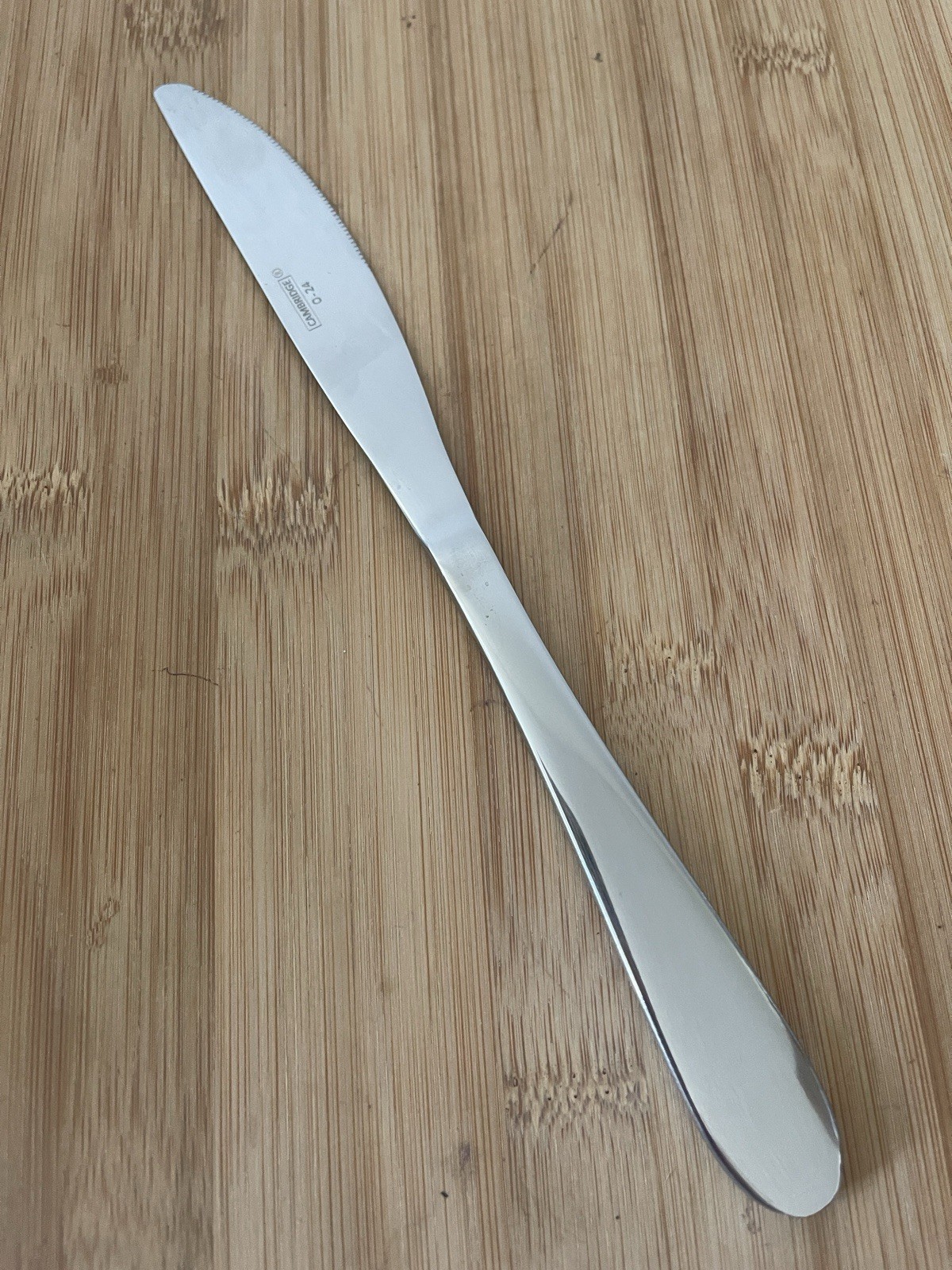 Cambridge Stainless HALEDON MIRROR Round Tip SERRATED DINNER KNIFE 9” NEW