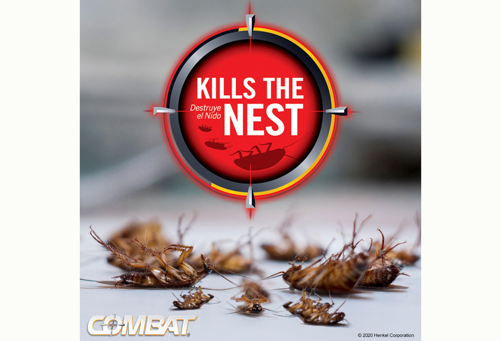 Combat Max Large Roach Killing Bait, 8 count - (Pack of 1)
