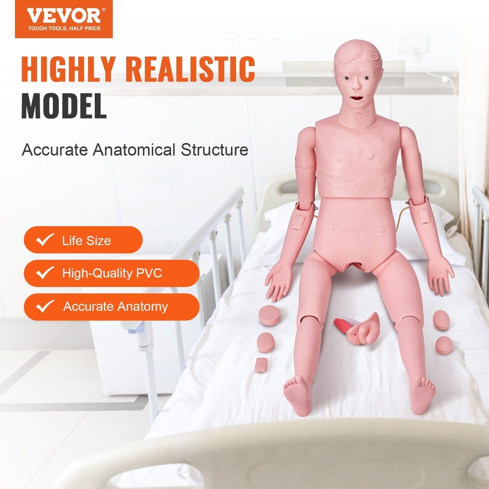 Male Nursing Training System with Realistic Tissue Response and Durability