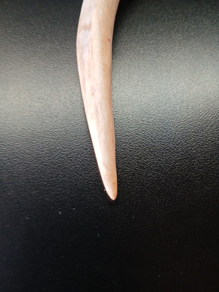 Knapping Tool, Deer Antler Tine