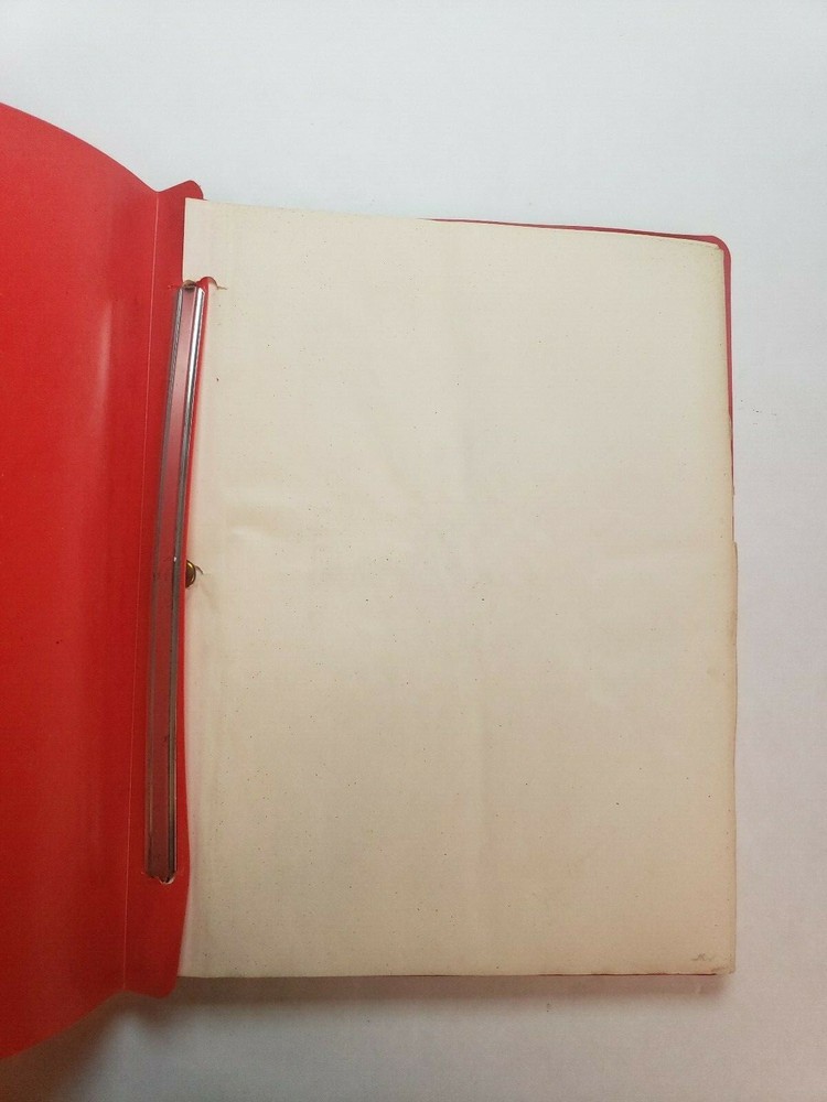 THE TAKE / B.W. Sandefur 1970's Unproduced Move Script Screenplay