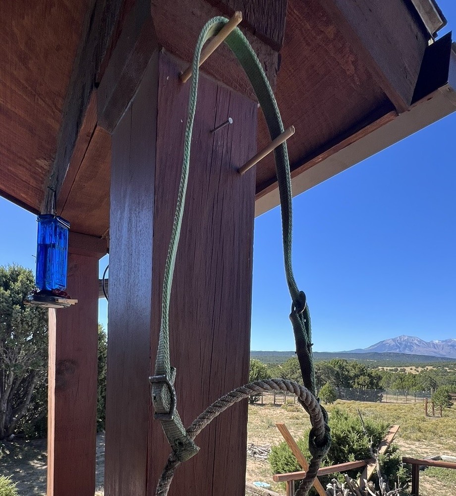 Custom, Stiff-Rope Tie Down Headstall, With 2 Buckle Flat Nylon, Tie Down